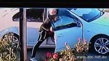 Darryl Trevor St Clair sentenced to four years in jail over South Plympton hammer attack - ABC News