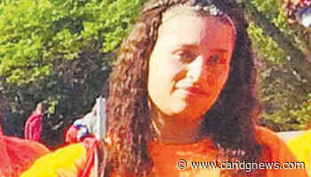 Soroptimists walking to support St. Clair Shores woman with kidney disease - C&G Newspapers