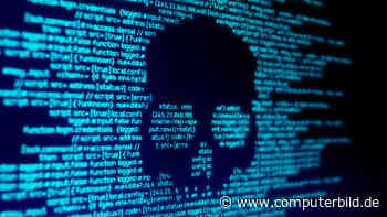 Avast und AVG: Zehn Jahre alte Schwachstelle entdeckt - COMPUTER BILD