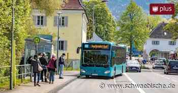 Stadtbus Lindau: Änderungspläne verärgern Zech und Bodolz - Schwäbische