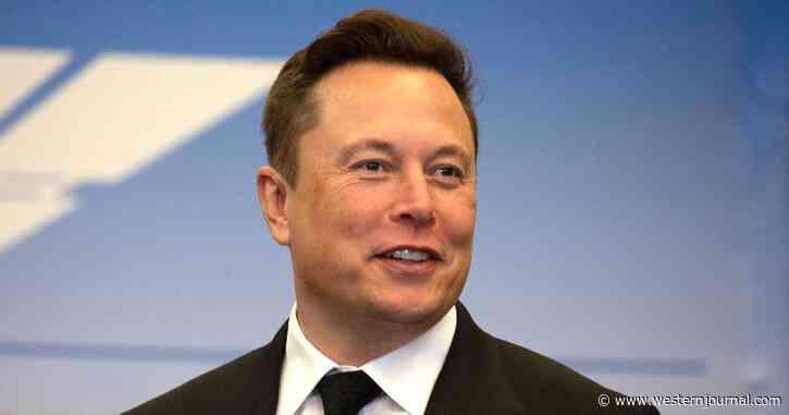 Want to Join Elon Musk's Free Speech Crusade? Here's When You'll Get Your Chance