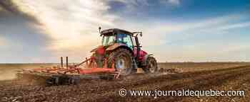 Engrais: les agriculteurs outrés de subir les sanctions imposées à la Russie