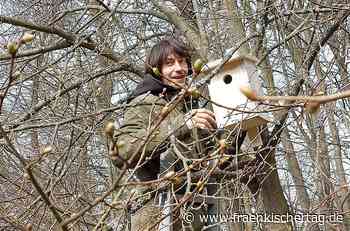 Landesbundes für Vogelschutz Kronach schafft Ersatzwohnraum für Stare, um dem seltenen Wiedehopf Raum zu bieten - Fränkischer Tag
