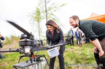 Neue Bäume durch Drohnen? - Luftrettung für den Frankenwald - Neue Presse Coburg