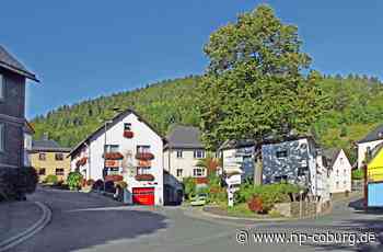 Baumfällung in Lauenstein - Ein bitteres Geschenk zum Jubiläum - Neue Presse Coburg