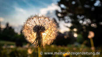Experte macht den Dürre-Check für den Sommer – Waldbrandgefahr steigt