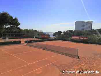 Tennis unter Palmen – TSV Meitingen goes Malle - Meitingen - myheimat.de