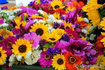 Deyvillers - Le marché aux fleurs aura lieu samedi - Epinal infos - Epinal Infos