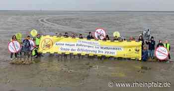 Umweltverbände gegen neue Ölförderung im Wattenmeer - Wirtschaft - Rheinpfalz.de