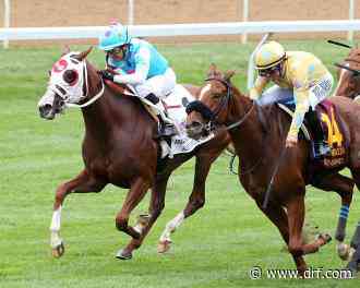 English Channel, Honey Ryder give 3-year-olds a turf opportunity - Daily Racing Form