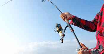 Eindelijk weer vissen in visvijver Diepvenneke | Vosselaar | hln.be - Het Laatste Nieuws