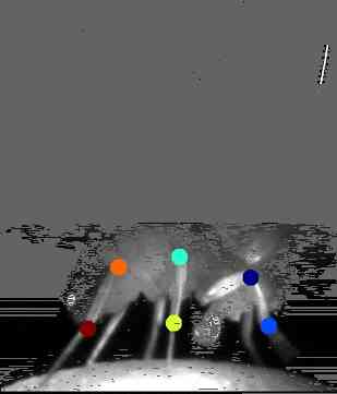 A Fruit Fly Walks Walks on a Floating 3D Treadmill While Scientists Record Visual Neurons in the Brain