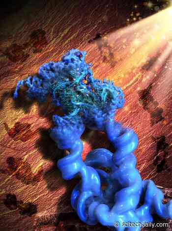 Nanotechnology Enables 3D Visualization of Crucial RNA Structures at Near-Atomic Resolution