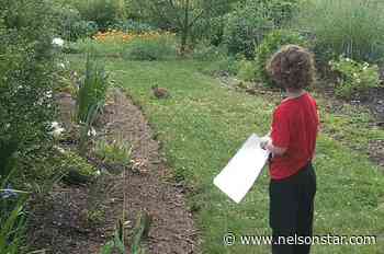 North America’s love affair with the lawn is getting messy - Nelson Star