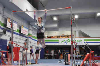 Nelson Sports Council wants voice heard at Recreation Commission - Nelson Star