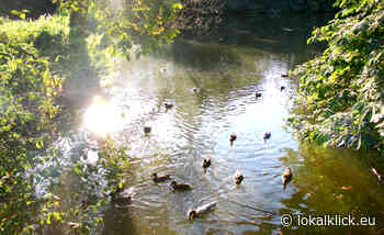 Marl investiert in die Wasserqualität ihrer Teiche - Lokalklick.eu - Online-Zeitung Rhein-Ruhr
