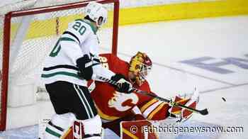 Goalies Markstrom, Oettinger prominent in tight Calgary-Dallas series - Lethbridge News Now