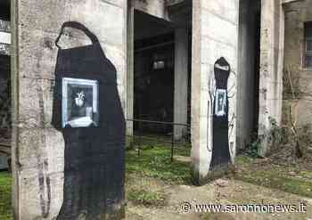 Vivaio Saronno riorganizza il sito internet - SaronnoNews.it