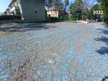 Saronno, l'assessore Merlotti dà l'appuntamento ai saronnesi per le pulizie di primavera al Matteotti - ilSaronno