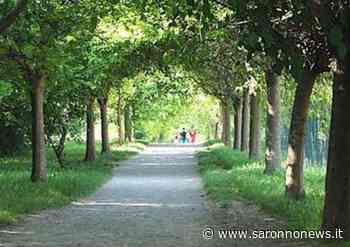 Obiettivo Saronno: "Povero verde, se non piove rimane abbandonato" - SaronnoNews.it