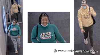 Millcreek Police Investigate Retail Theft involving $1,700 Worth - erienewsnow.com