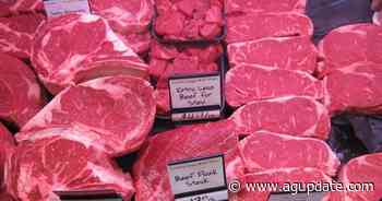 Animal-protein retail prices increasing | Livestock | agupdate.com - AgUpdate