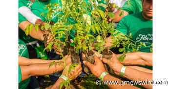 Flor de Caña Rum startet globale Kampagne zur Pflanzung von 70.000 Bäumen bis 2022