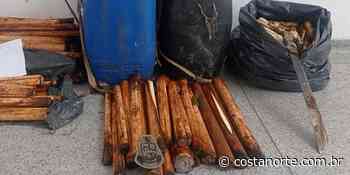 Apreensão de palmito em Bertioga gera autuação de mais de R$ 100 mil - Costa Norte