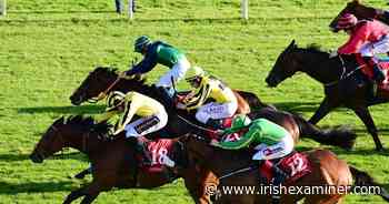 Cork report: Lord Dudley digs deep to land 'savage pot' - Irish Examiner