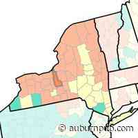 Cayuga County COVID-19 cases at two-month low, two deaths this week - The Citizen