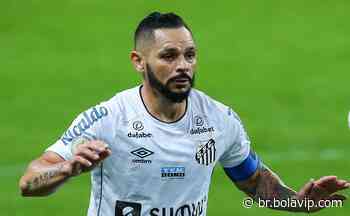 Pará e mais dois; Brusque anuncia contratação de lateral-direito ex-Santos e destaques do Catarinense - Bolavip Brasil