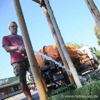 Smarte Bäume in Essen: Wie Bäume digital vor Trockenheit geschützt werden - Radio Essen