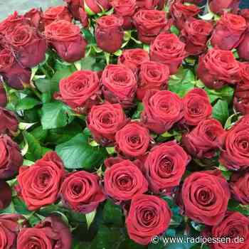 Radio Essen: Schickt uns Eure Muttertagsgrüße - Radio Essen