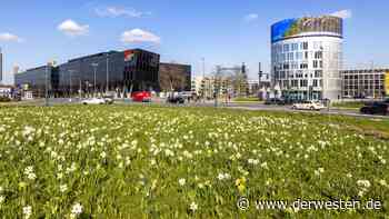 Essen: Absurde Pläne für „Todeskreisel“ – „Gehört in den Müll“ - DER WESTEN