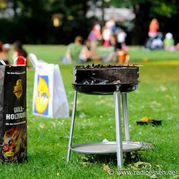 Essen: Das sind die ersten Grillzonen in Essener Parks - Radio Essen