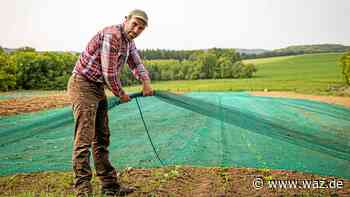 Saisonbeginn bei den „Feldfreunden“ in Essen-Schuir - WAZ News