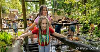 Speeltuin 't Kwekkeltje in Rosmalen kleurt middagje geel en blauw: 'Djakuju (dankjewel) voor alles' - BD.nl
