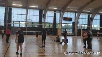 Cornebarrieu. Un entraînement parents enfants au volley-ball - LaDepeche.fr