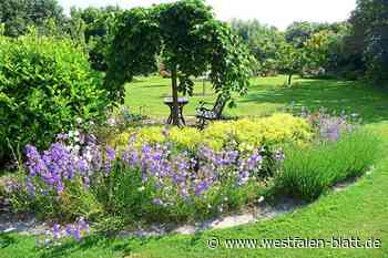 Kreis Minden-Lübbecke: Einblicke hinter die Gartentore - Westfalen-Blatt
