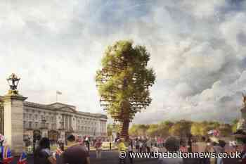 New approach to principal beacon lighting at Buckingham Palace - The Bolton News
