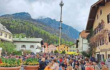 Prächtiger Maibaum ziert den Florianiplatz - Passauer Neue Presse - PNP.de