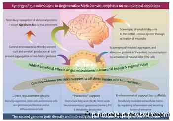 Gut microbiome as a tool in regenerative medicine; Novel approach driven by GN Corp Japan with potentials in neurological illnesses
