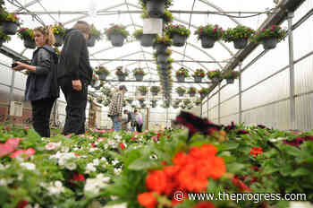 Sardis Secondary offers hybrid version of Mother's Day Plant Sale in Chilliwack – Chilliwack Progress - Chilliwack Progress