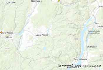 Wildfire reaches 20 hectares near Merritt – Chilliwack Progress - Chilliwack Progress