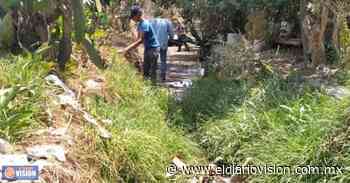 Ayuntamiento de Zacapu, realizó limpieza y desazolve del Canal Santa Cecilia - El Diario Visión