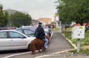 Roma, a dorso del pony in giro per tutta la città (FOTO) - Il Corriere della Città