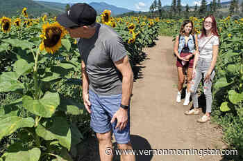 Community excellence honoured in Armstrong-Spallumcheen - Vernon Morning Star