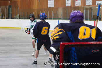 Armstrong Shamrocks beat Vernon Tigers 9-5 in junior lacrosse exhibition play – Vernon Morning Star - Vernon Morning Star
