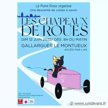 Course de caisses à savon Gallargues-le-Monteux (30) Gallargues-le-Montueux - Unidivers
