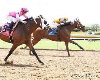 Marathon starter allowance the meet's long goodbye - Daily Racing Form